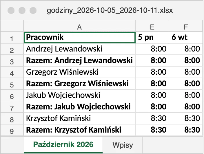 Pobrany plik Excel z godzinami pracowników z kolejnych dni tygodnia